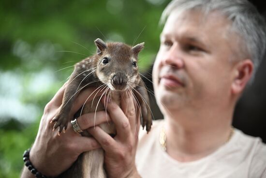 Russia Zoo