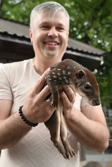 Russia Zoo