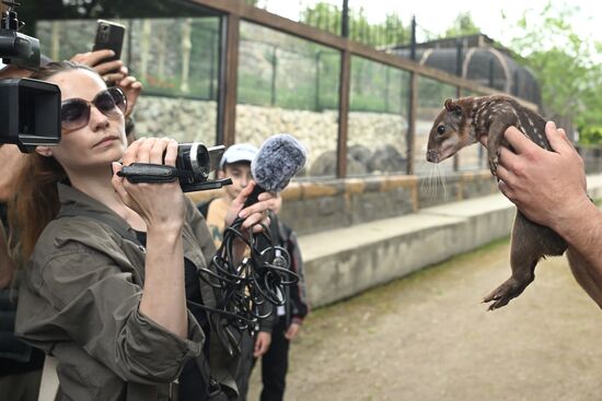 Russia Zoo