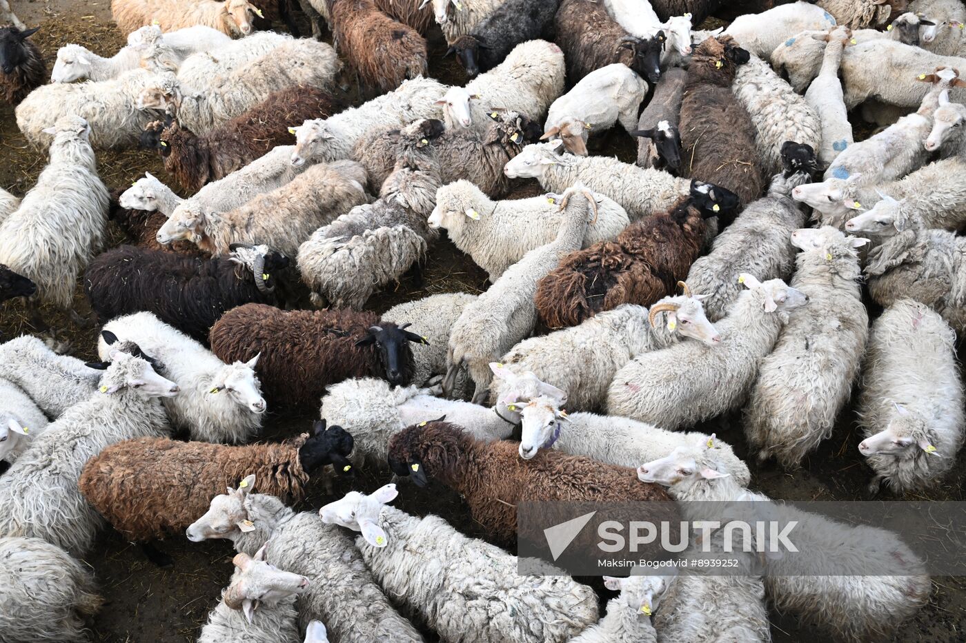 Russia Religion Eid Al-Adha