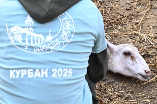 Russia Religion Eid Al-Adha