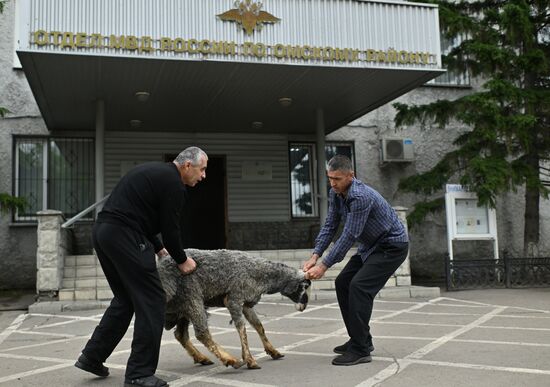 Russia Religion Eid Al-Adha