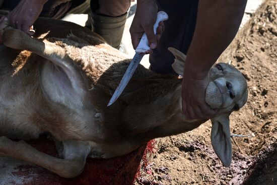 Russia Religion Eid Al-Adha