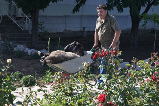 Russia Religion Eid Al-Adha