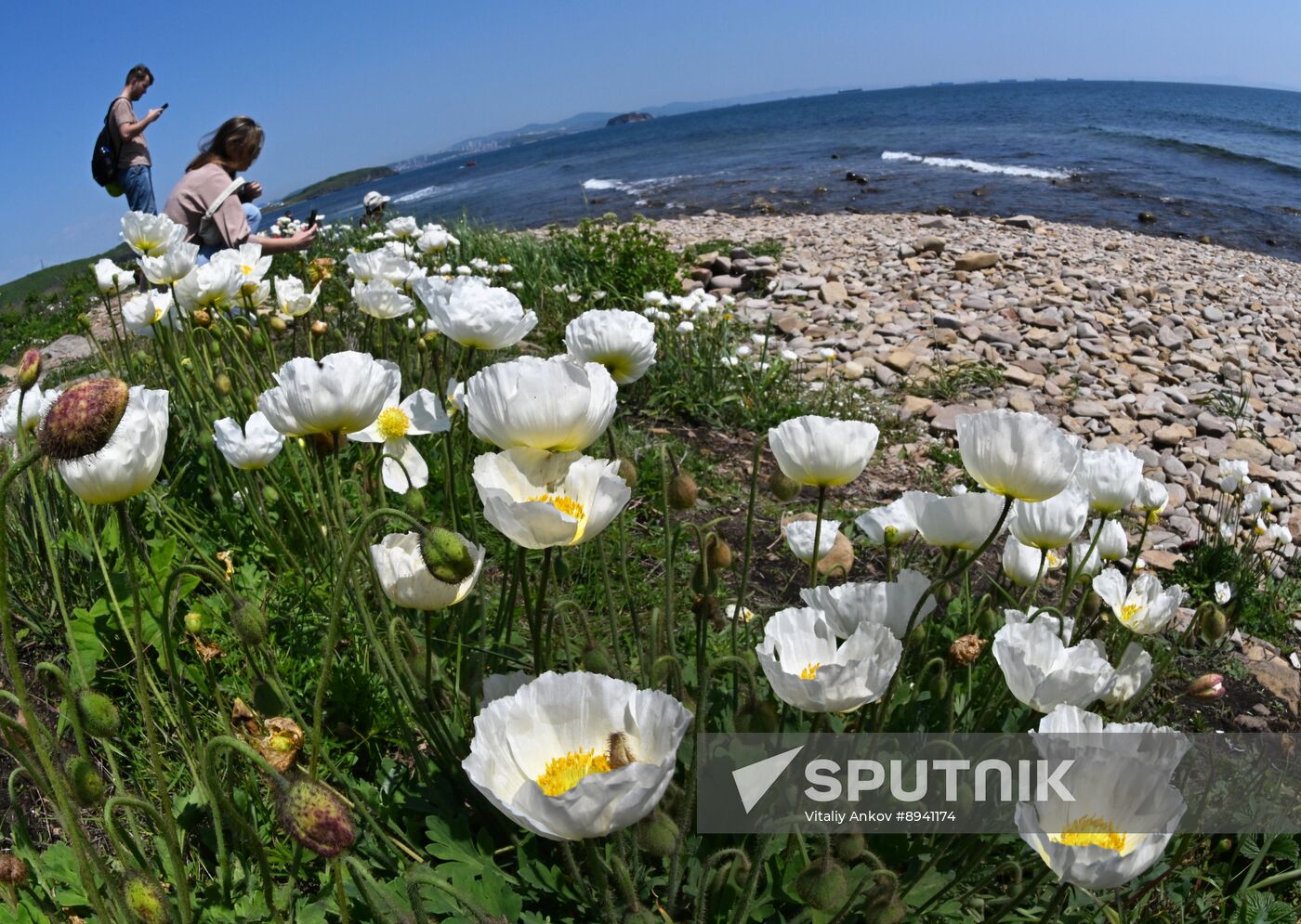 Russia Far East Environment