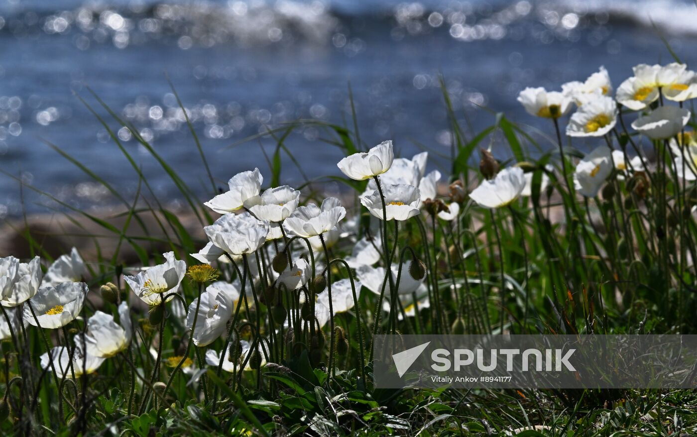 Russia Far East Environment