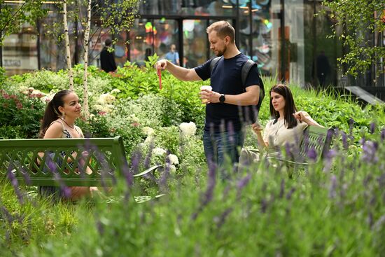 Russia Landscape Design Festival