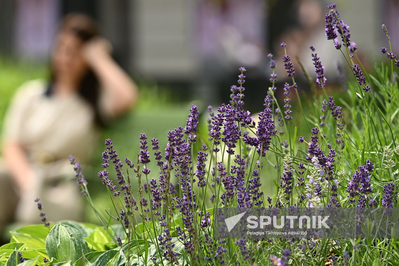 Russia Landscape Design Festival