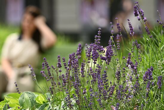 Russia Landscape Design Festival