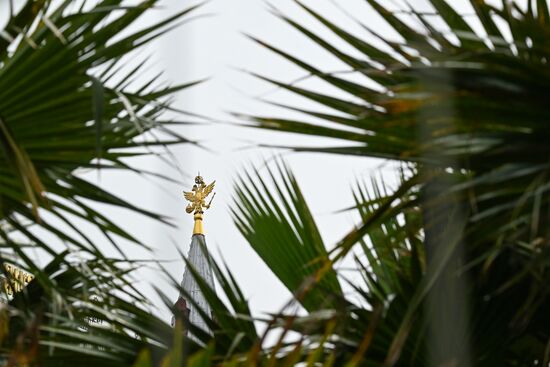 Russia Landscape Design Festival