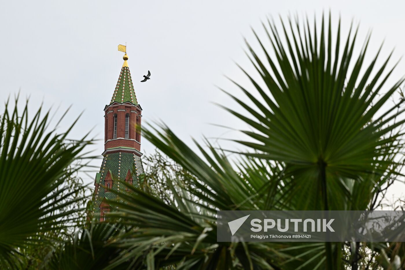 Russia Landscape Design Festival