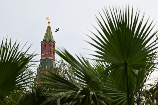 Russia Landscape Design Festival