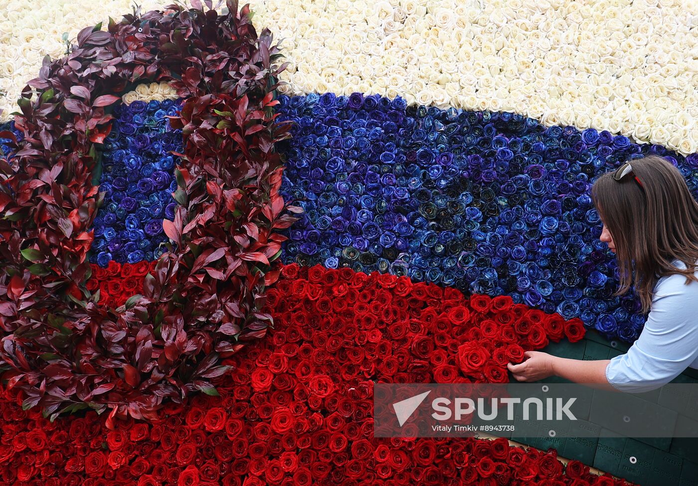 Russia Day Celebrations