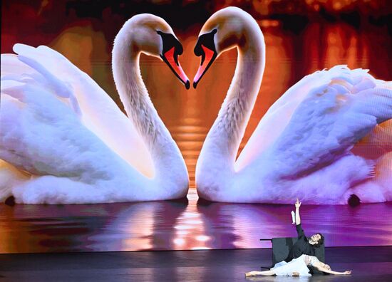 Russia Entertainment Plastic Theatre Show