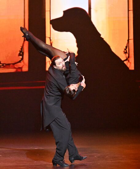 Russia Entertainment Plastic Theatre Show