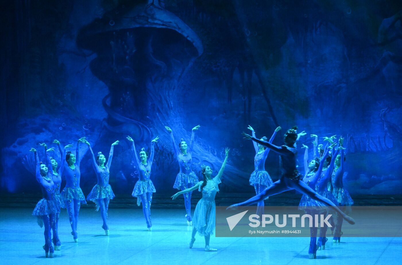 Russia Ballet Beauty Angara