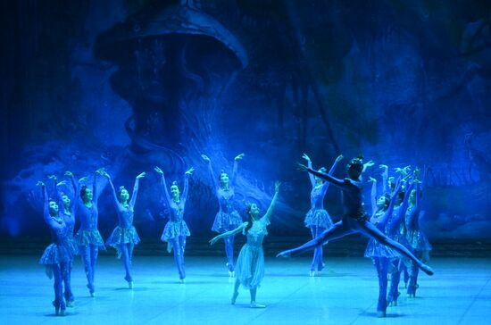 Russia Ballet Beauty Angara