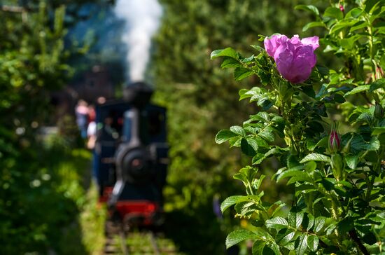 Russia Park Railway