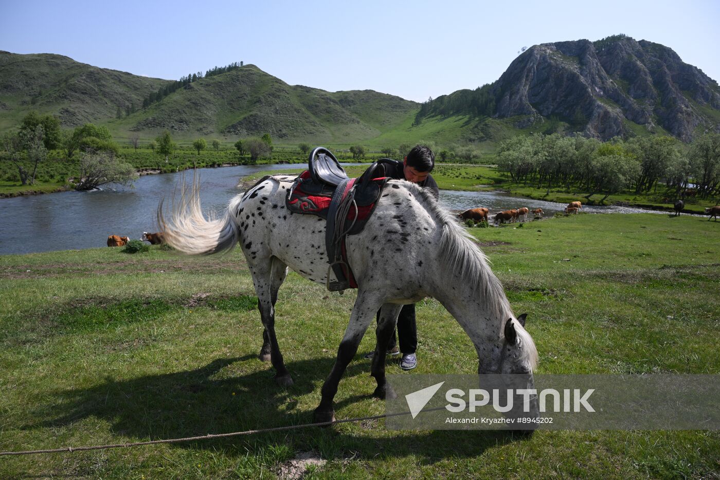 Russia Kok Boru Championship