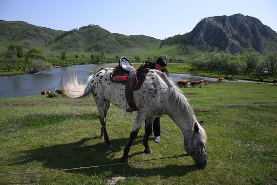 Russia Kok Boru Championship