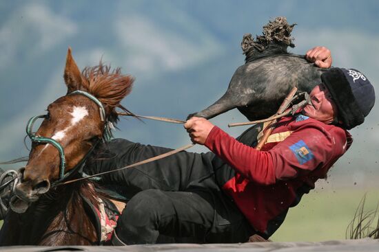 Russia Kok Boru Championship
