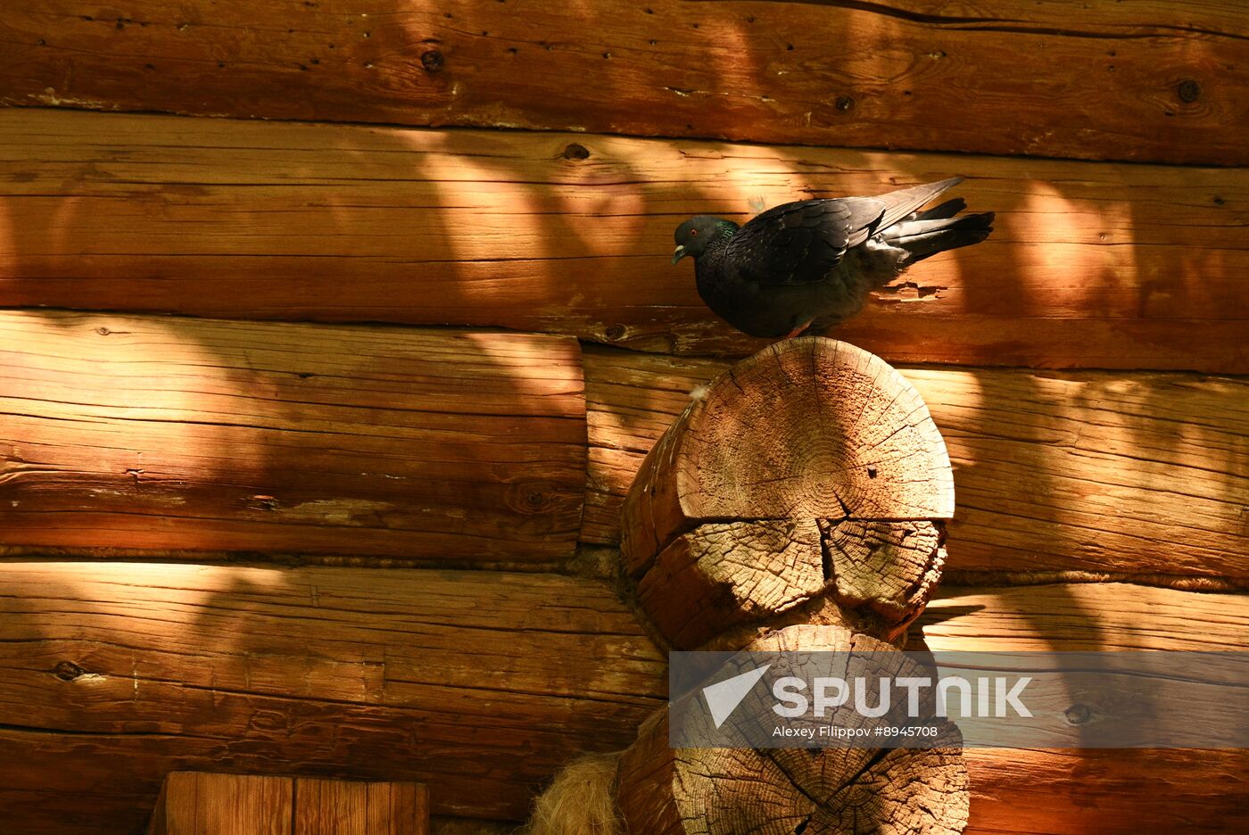 Russia Tourism Kolomenskoye Museum Reserve