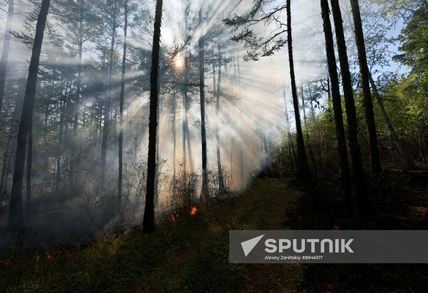 Russia Wildfires