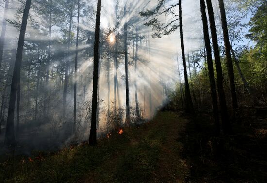 Russia Wildfires