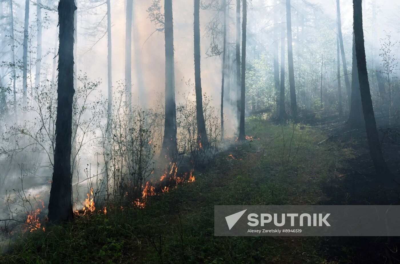 Russia Wildfires