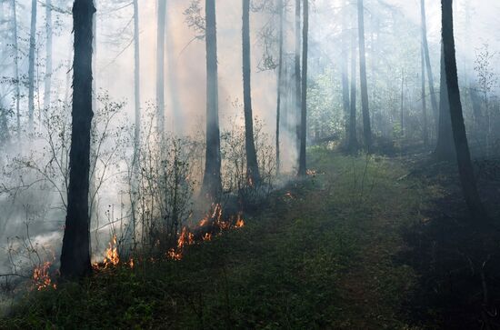 Russia Wildfires