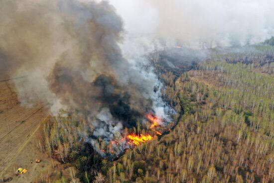 Russia Wildfires