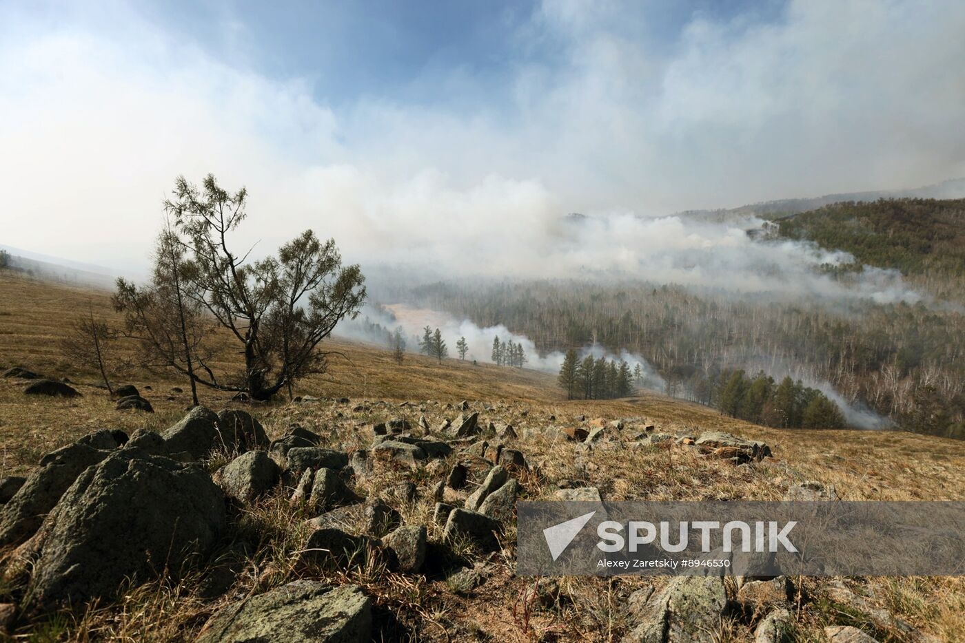 Russia Wildfires
