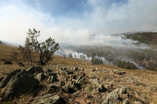 Russia Wildfires