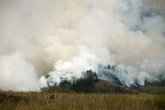Russia Wildfires