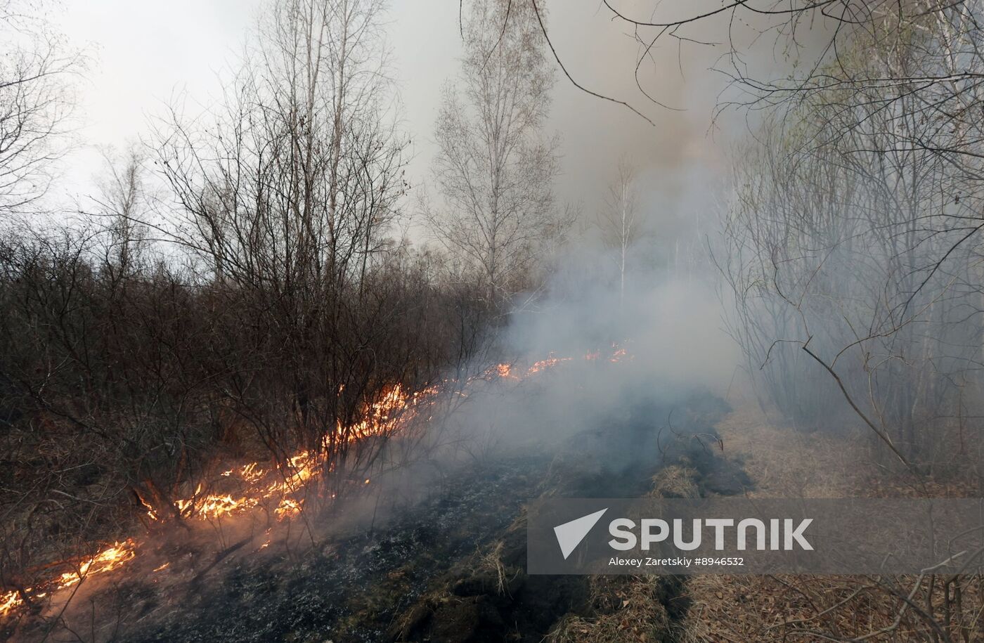 Russia Wildfires