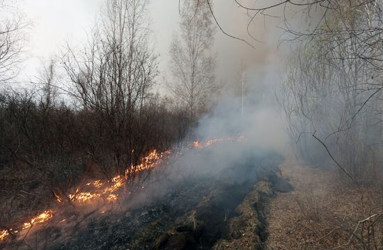 Russia Wildfires