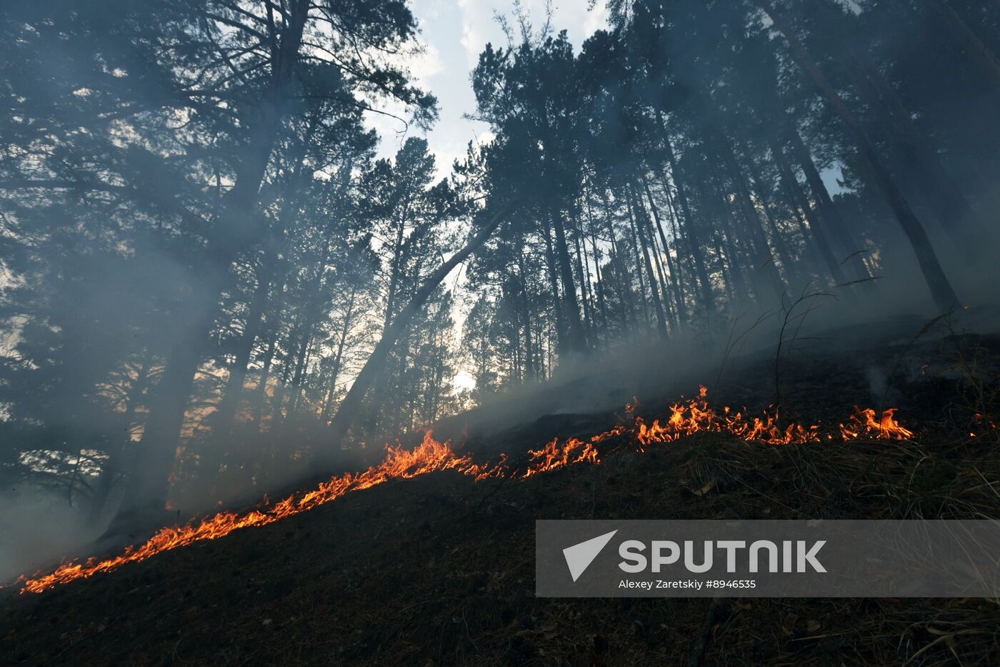 Russia Wildfires