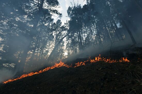 Russia Wildfires