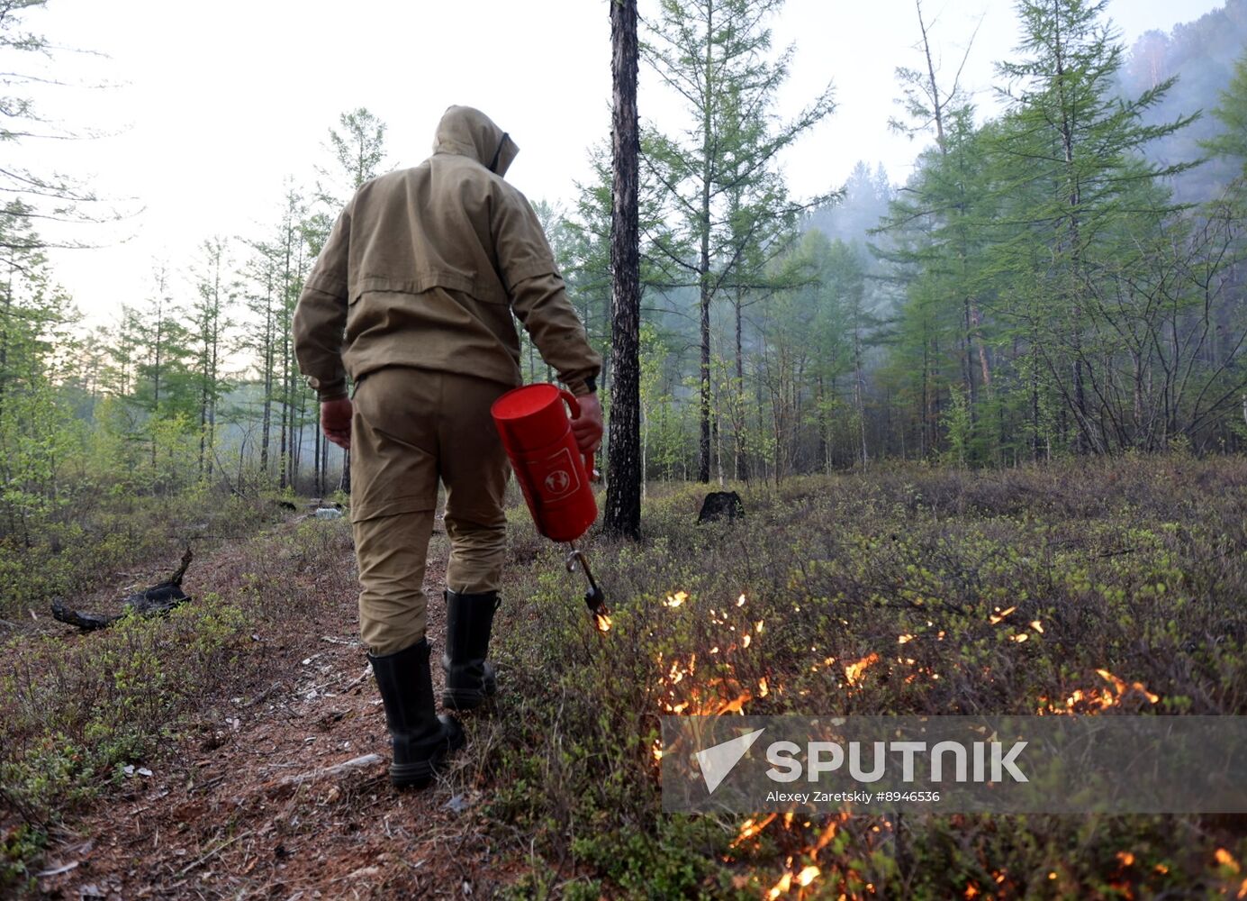 Russia Wildfires