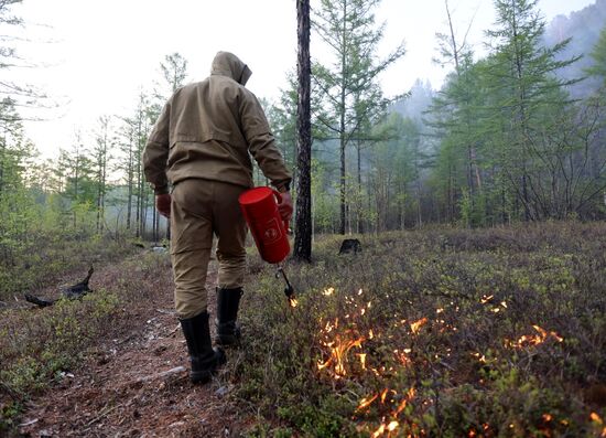 Russia Wildfires