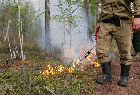 Russia Wildfires
