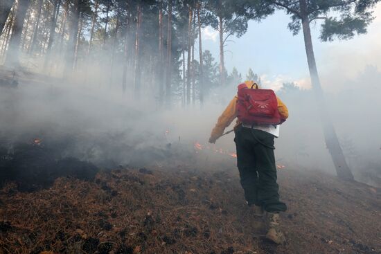 Russia Wildfires