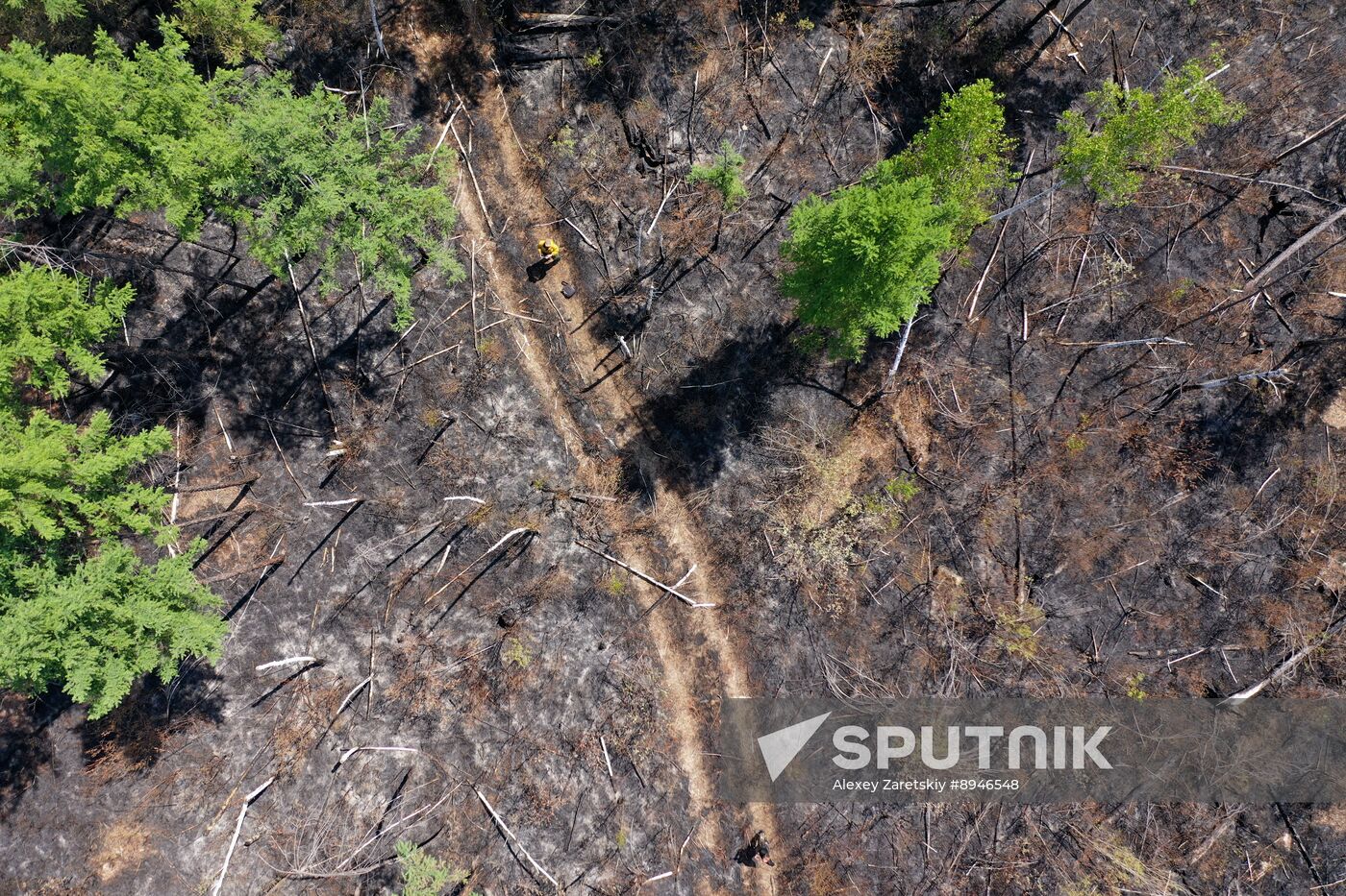 Russia Wildfires