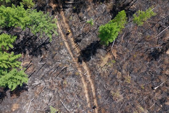 Russia Wildfires