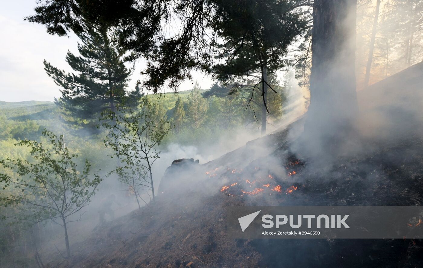 Russia Wildfires