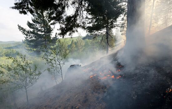 Russia Wildfires