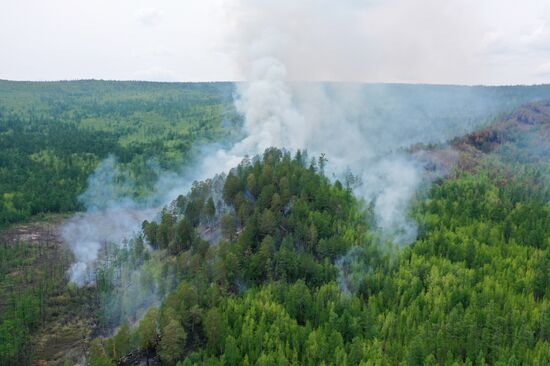 Russia Wildfires