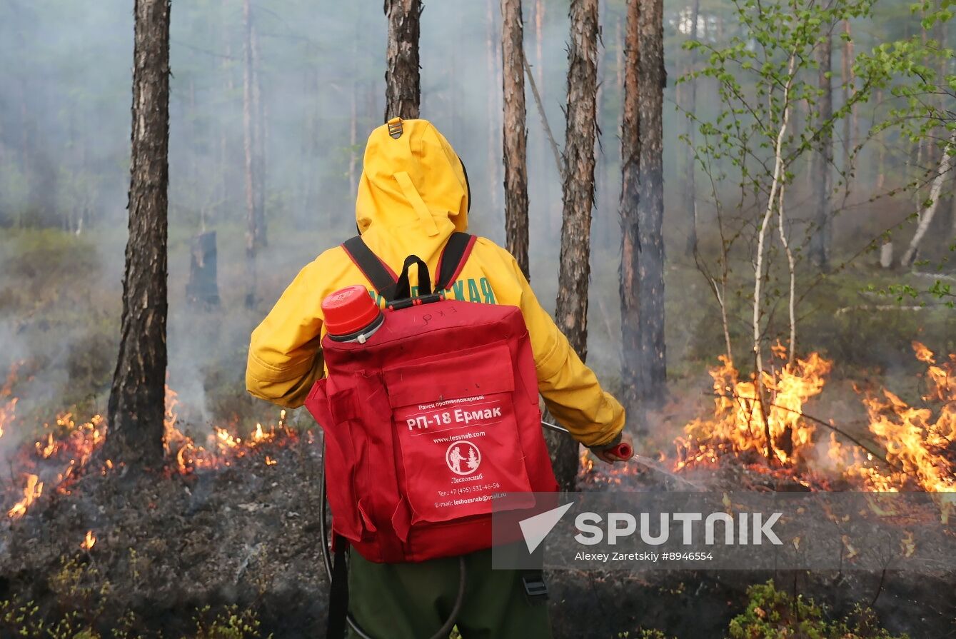 Russia Wildfires