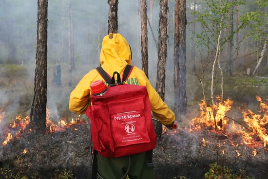 Russia Wildfires