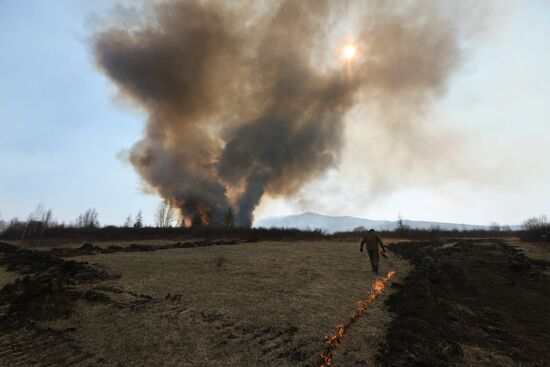 Russia Wildfires